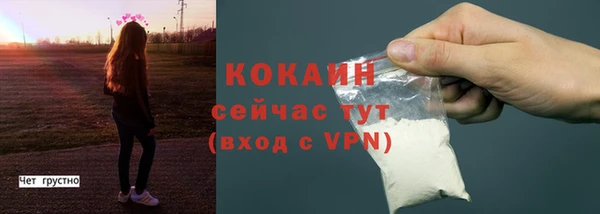 соль ск Нея