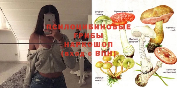 соль ск Нея