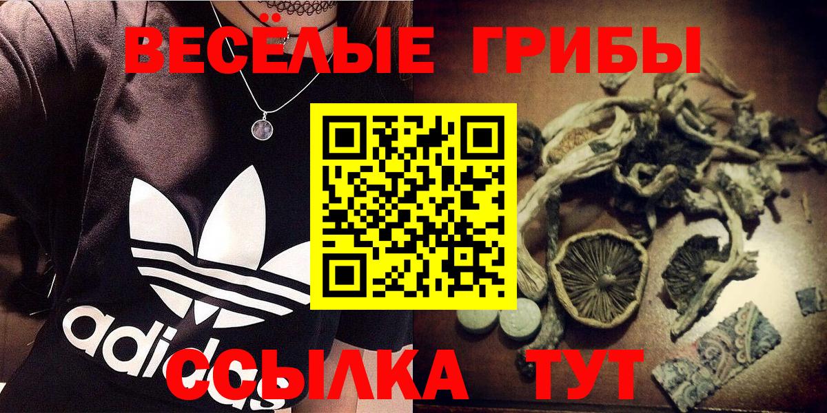 Галлюциногенные грибы Magic Shrooms Тула